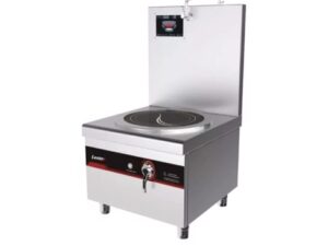 Bếp Điện Từ Hầm Súp 87L LT-P420-E118 LESTOV