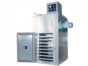 Tủ sấy dạng nhiệt đối lưu 10 khay